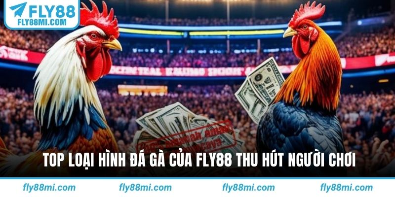 Top loại hình đá gà của fly88 thu hút người chơi