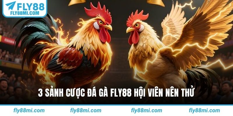 3 sảnh cược đá gà Fly88 hội viên nên thử
