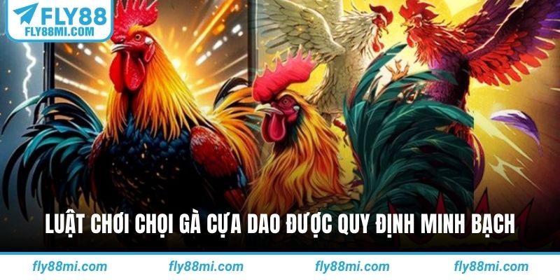Luật chơi chọi gà cựa dao được quy định minh bạch