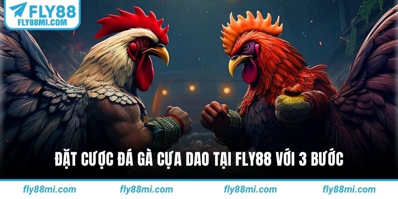 Đặt cược đá gà cựa dao tại fly88 với 3 bước