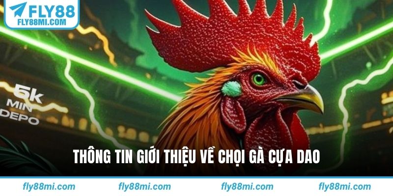 Thông tin giới thiệu về chọi gà cựa dao