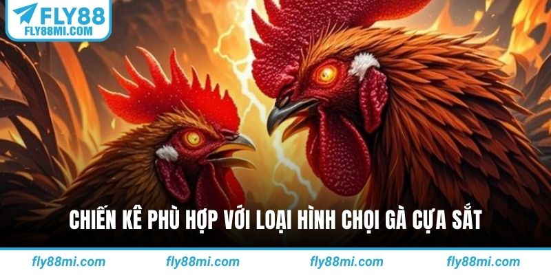 Chiến kê phù hợp với loại hình chọi gà cựa sắt