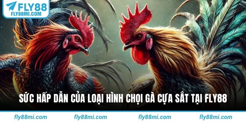 Sức hấp dẫn của loại hình chọi gà cựa sắt tại fly88