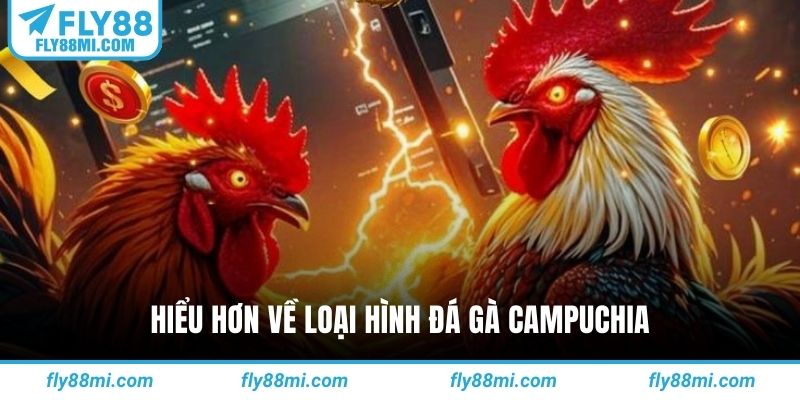 Hiểu hơn về loại hình đá gà campuchia