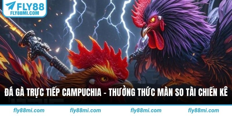 Đá gà trực tiếp campuchia
