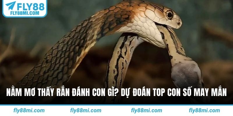 Nằm mơ thấy rắn đánh con gì